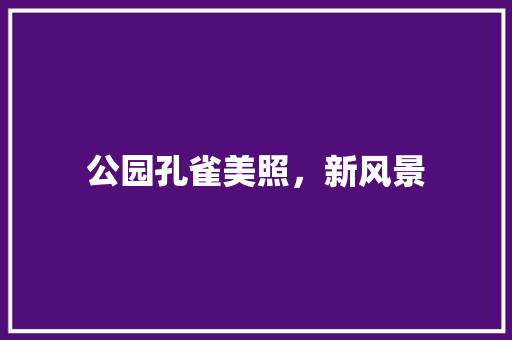 公园孔雀美照，新风景