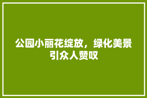 公园小丽花绽放，绿化美景引众人赞叹