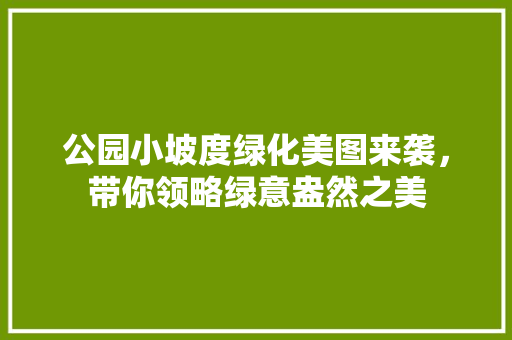 公园小坡度绿化美图来袭，带你领略绿意盎然之美