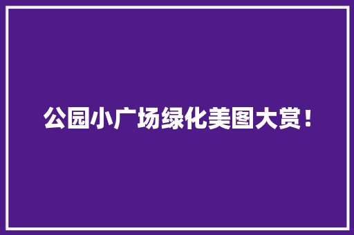 公园小广场绿化美图大赏！