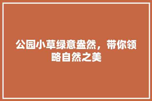 公园小草绿意盎然，带你领略自然之美