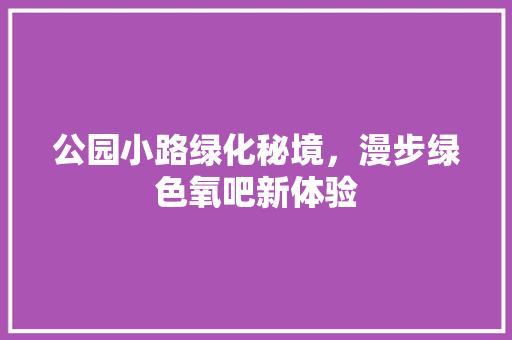 公园小路绿化秘境，漫步绿色氧吧新体验