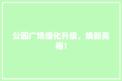公园广场绿化升级，焕新亮相！