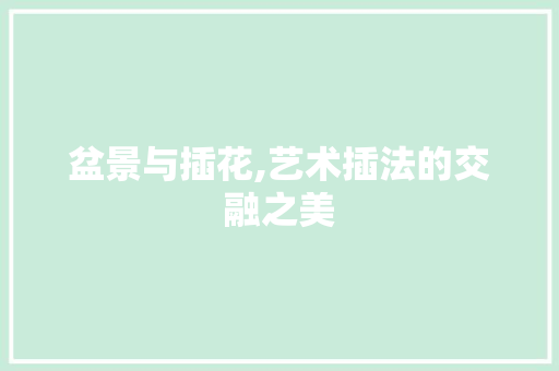 盆景与插花,艺术插法的交融之美