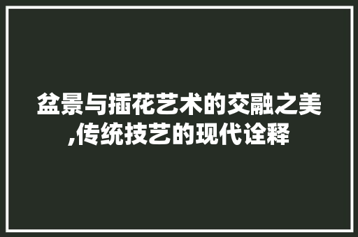 盆景与插花艺术的交融之美,传统技艺的现代诠释