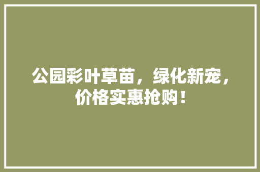 公园彩叶草苗，绿化新宠，价格实惠抢购！