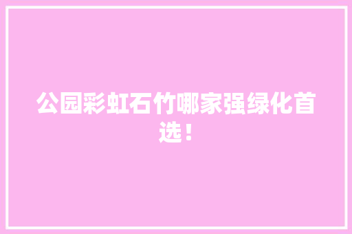 公园彩虹石竹哪家强绿化首选！