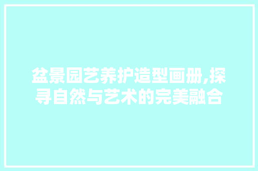 盆景园艺养护造型画册,探寻自然与艺术的完美融合