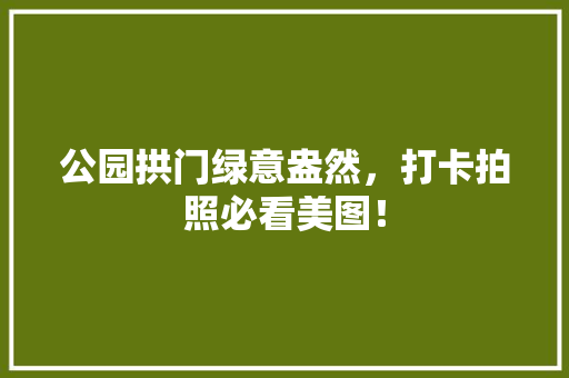 公园拱门绿意盎然，打卡拍照必看美图！