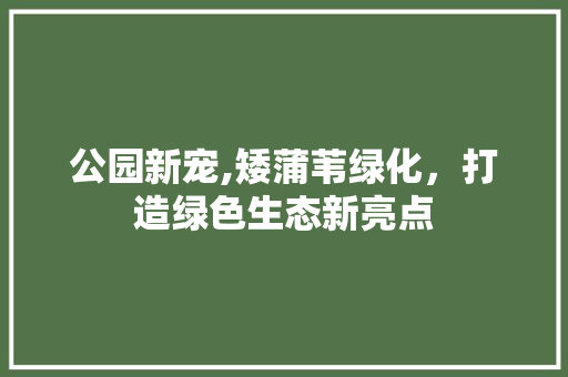 公园新宠,矮蒲苇绿化，打造绿色生态新亮点