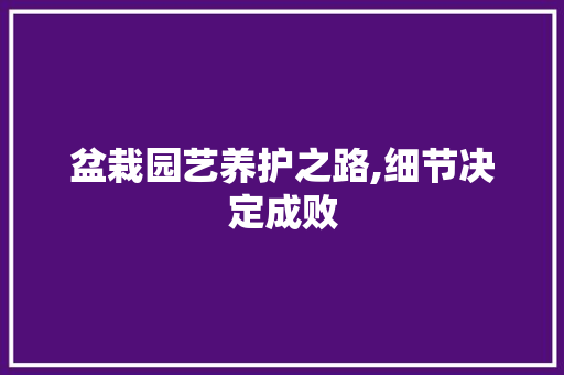 盆栽园艺养护之路,细节决定成败