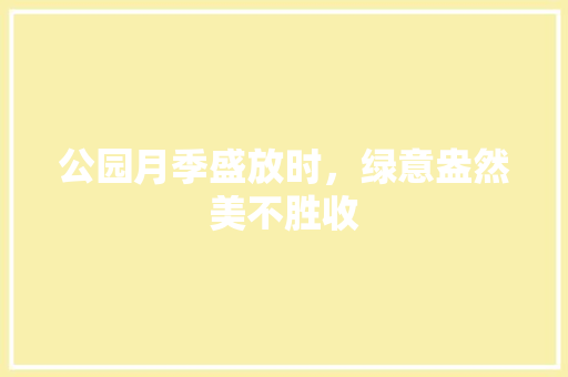 公园月季盛放时，绿意盎然美不胜收