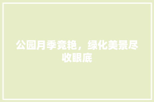 公园月季竞艳，绿化美景尽收眼底