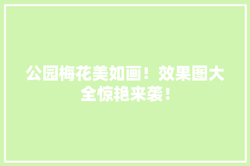 公园梅花美如画！效果图大全惊艳来袭！