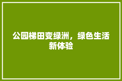 公园梯田变绿洲，绿色生活新体验