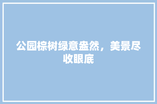 公园棕树绿意盎然，美景尽收眼底