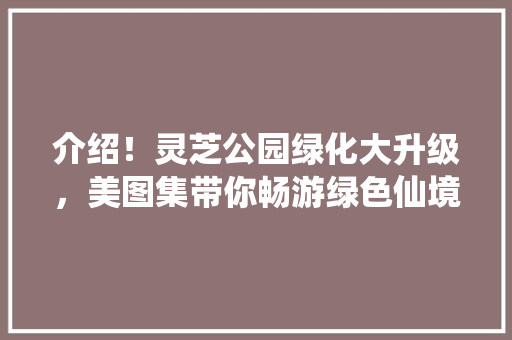 介绍！灵芝公园绿化大升级，美图集带你畅游绿色仙境！