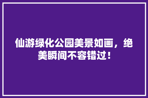 仙游绿化公园美景如画，绝美瞬间不容错过！