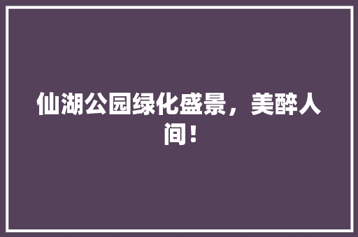 仙湖公园绿化盛景，美醉人间！