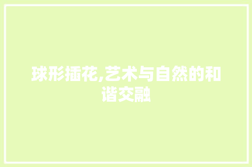 球形插花,艺术与自然的和谐交融