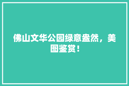 佛山文华公园绿意盎然，美图鉴赏！