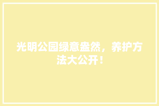 光明公园绿意盎然，养护方法大公开！