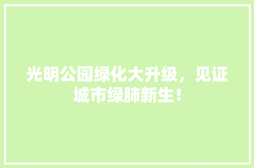 光明公园绿化大升级，见证城市绿肺新生！