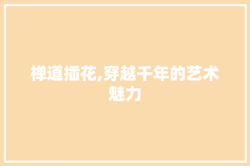 禅道插花,穿越千年的艺术魅力