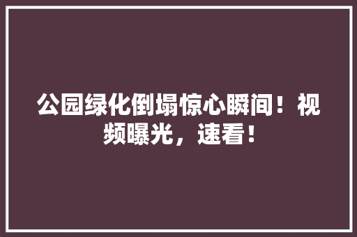 公园绿化倒塌惊心瞬间！视频曝光，速看！