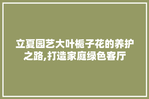 立夏园艺大叶栀子花的养护之路,打造家庭绿色客厅