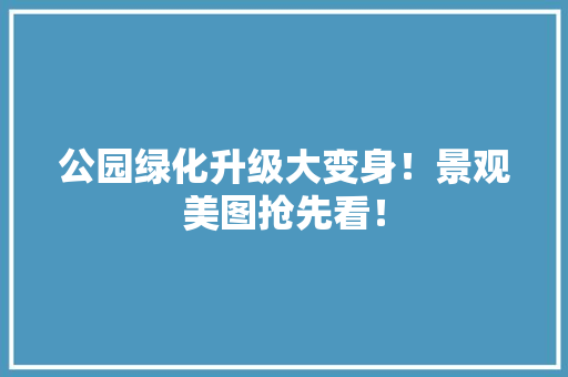 公园绿化升级大变身！景观美图抢先看！