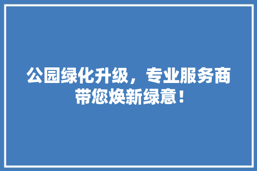 公园绿化升级，专业服务商带您焕新绿意！