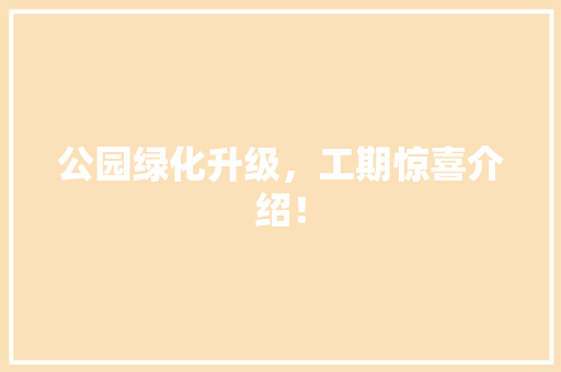 公园绿化升级，工期惊喜介绍！