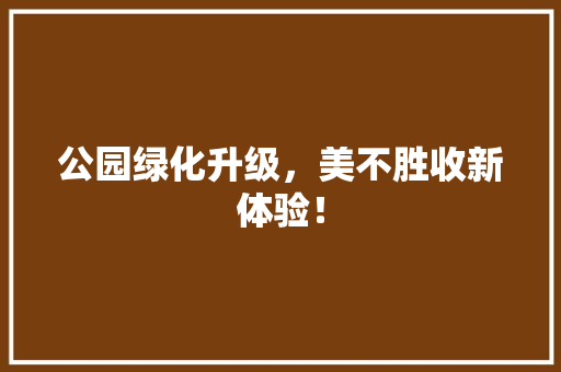 公园绿化升级，美不胜收新体验！