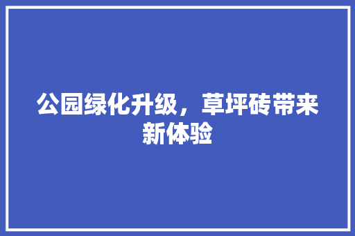 公园绿化升级，草坪砖带来新体验
