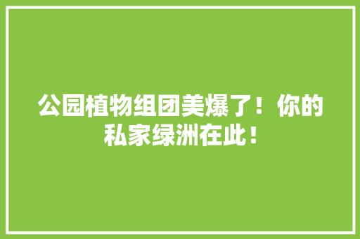 公园植物组团美爆了！你的私家绿洲在此！