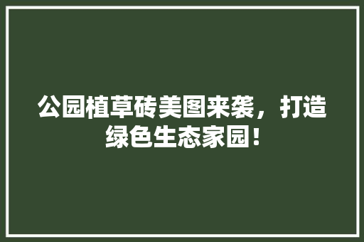 公园植草砖美图来袭，打造绿色生态家园！