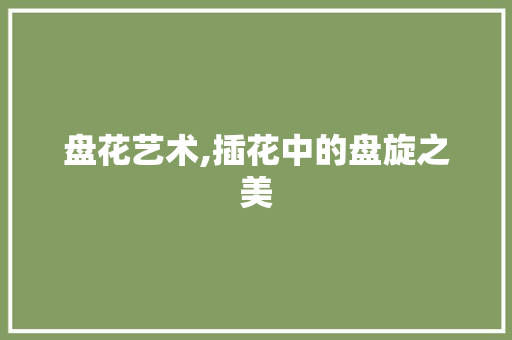 盘花艺术,插花中的盘旋之美