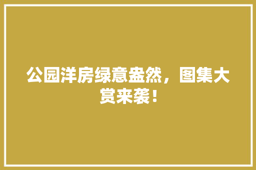 公园洋房绿意盎然，图集大赏来袭！