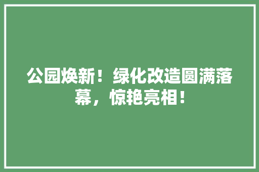 公园焕新！绿化改造圆满落幕，惊艳亮相！