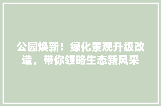 公园焕新！绿化景观升级改造，带你领略生态新风采