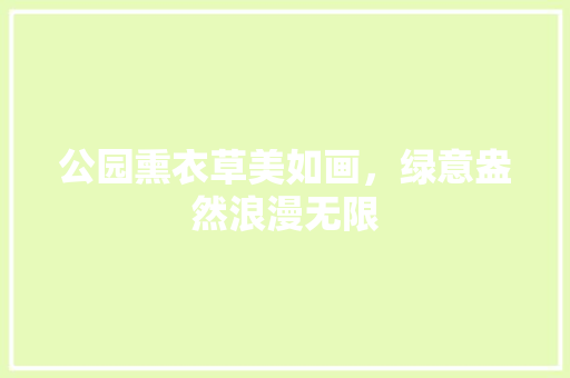 公园熏衣草美如画，绿意盎然浪漫无限