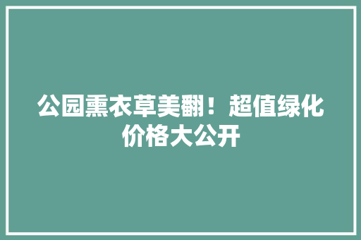 公园熏衣草美翻！超值绿化价格大公开