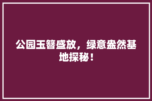 公园玉簪盛放，绿意盎然基地探秘！
