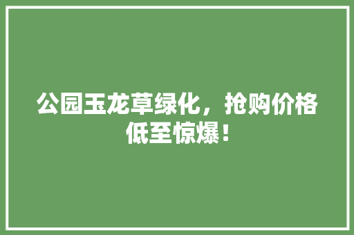 公园玉龙草绿化，抢购价格低至惊爆！