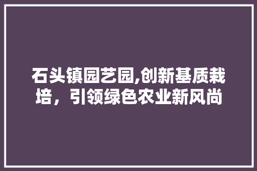 石头镇园艺园,创新基质栽培，引领绿色农业新风尚