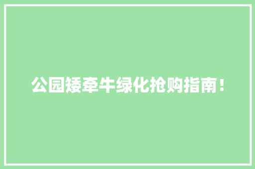 公园矮牵牛绿化抢购指南！