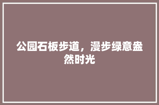 公园石板步道，漫步绿意盎然时光