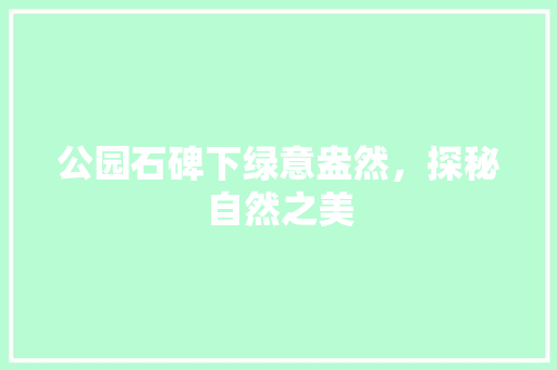 公园石碑下绿意盎然，探秘自然之美