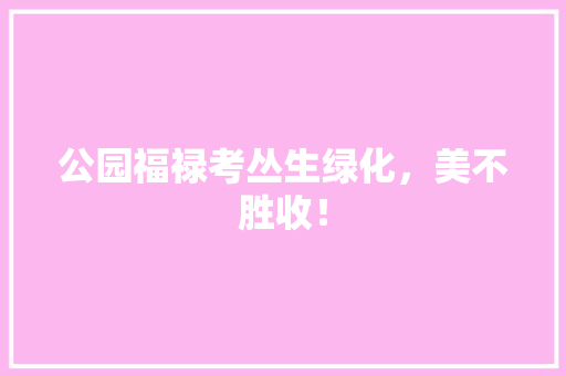 公园福禄考丛生绿化，美不胜收！
